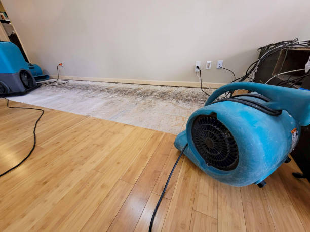 Professional Structural Drying technician working in Shawnee, OH